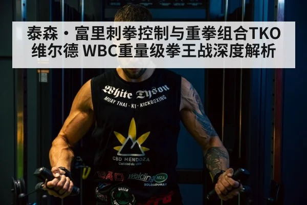 泰森·富里刺拳控制与重拳组合TKO维尔德 WBC重量级拳王战深度解析